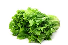 andijvie breedblad 8 stuks