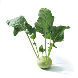 Groene koolrabi 10 stuks