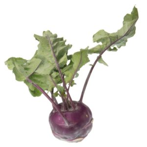 paarse koolrabi 10 stuks